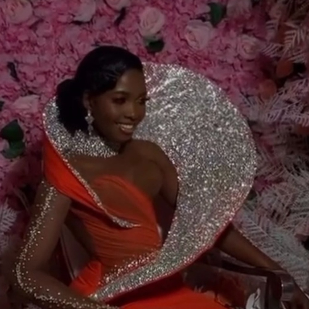 A Ball gown (handmade fully rhinestones)